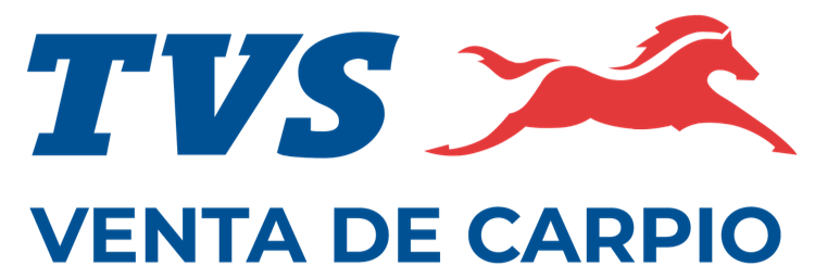 Logo TVS